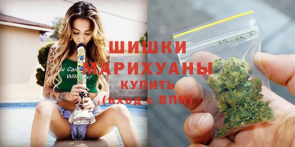 ПСИЛОЦИБИНОВЫЕ ГРИБЫ Баксан