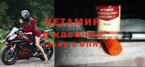 шишки Белоозёрский