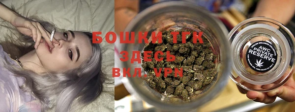 шишки Белоозёрский