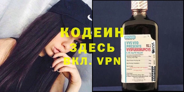 шишки Белоозёрский