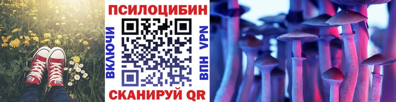 гидра сайт  Кстово  Псилоцибиновые грибы ЛСД  закладки 